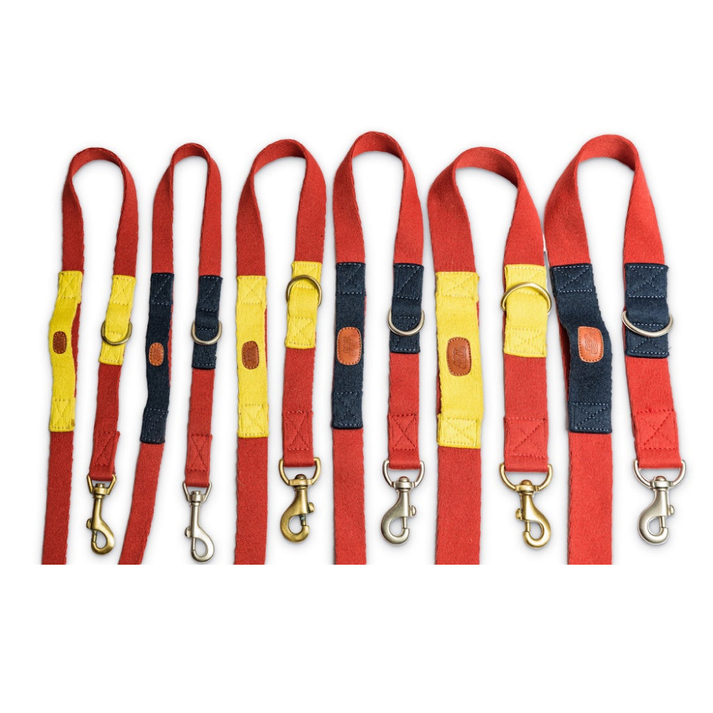PetWale 7 in 1 Multi-Function Leash for Dogs
