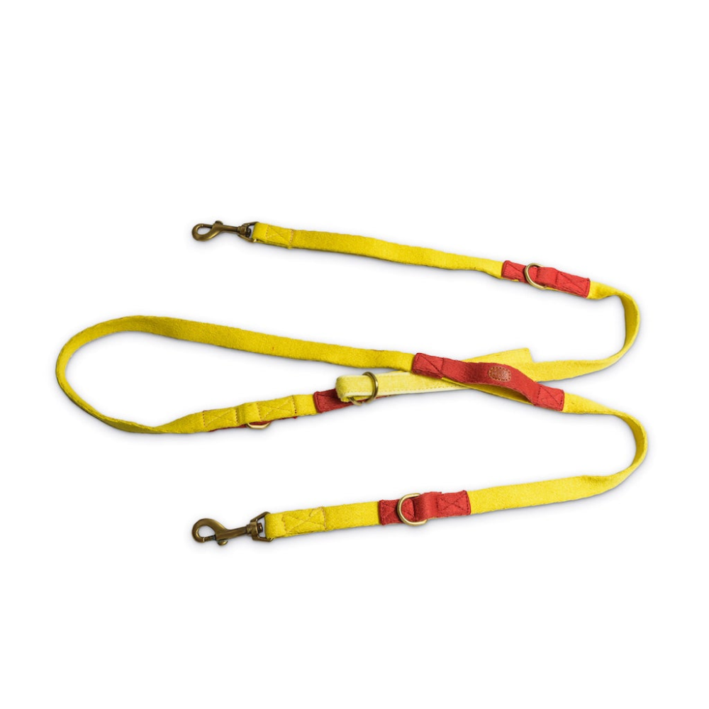 PetWale 7 in 1 Multi-Function Leash for Dogs