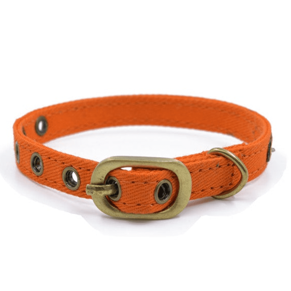 PetWale Collar for Cats (Orange)