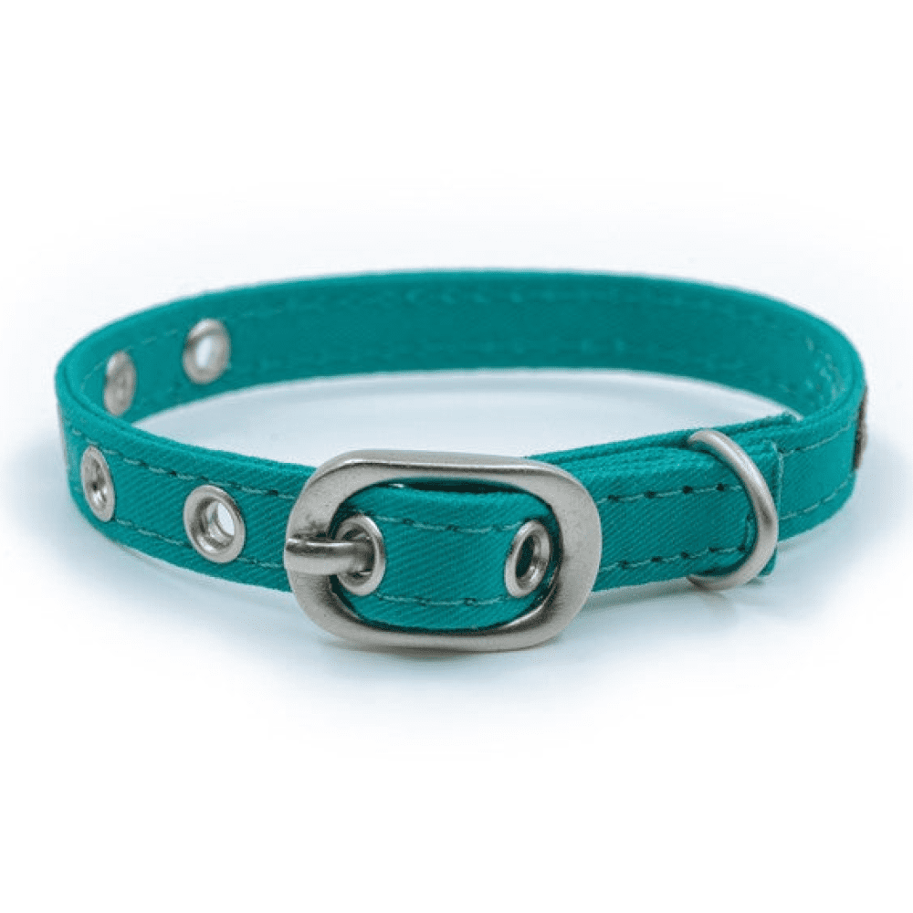 PetWale Collar for Cats (Turquoise)