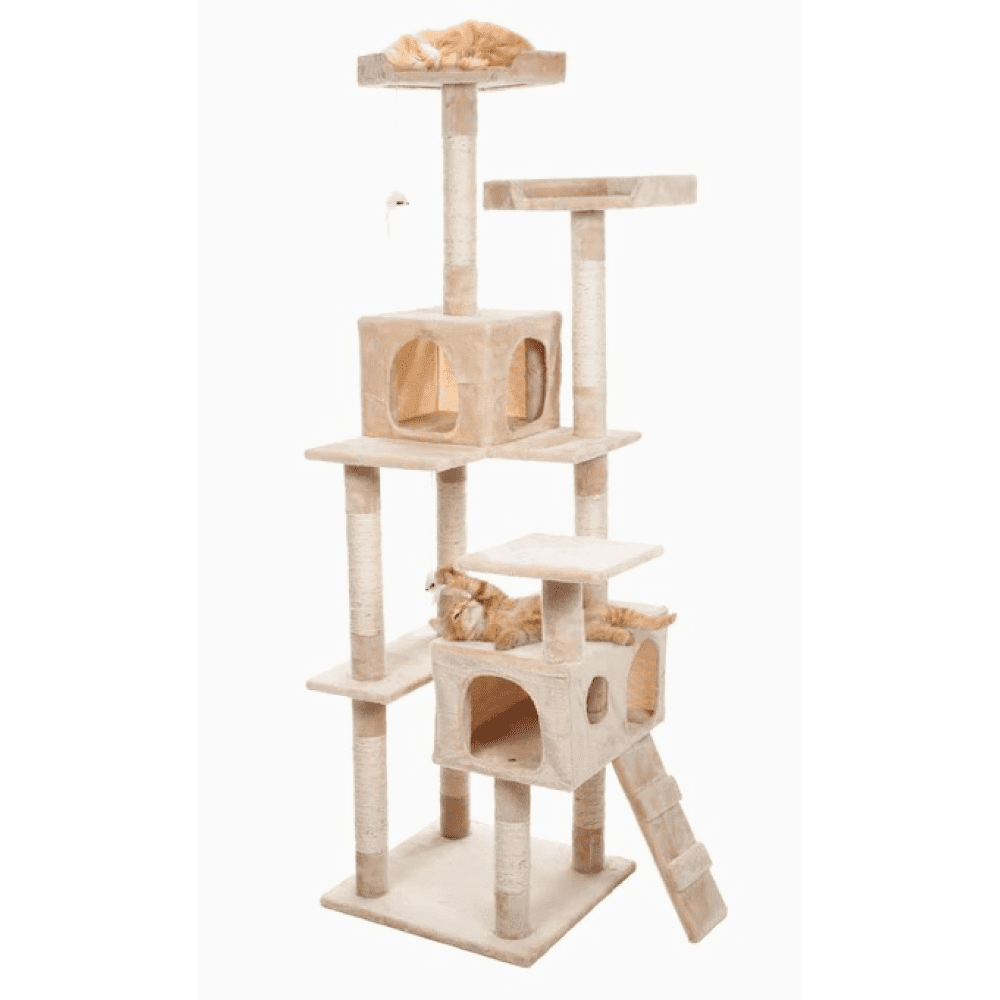Glenand Tree for Cats (SBE1996)