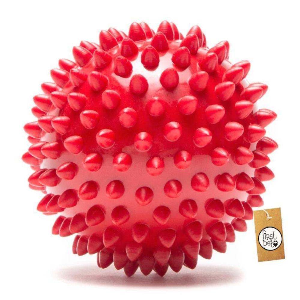 First Pet Natural Rubber Spiked Ball Toy for Dogs (Assorted)