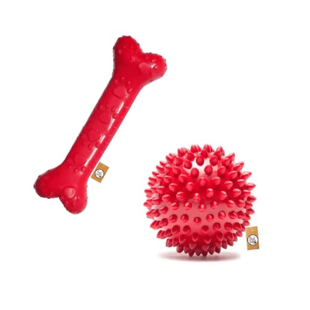 First Pet Natural Rubber Dog Bone + Spiked Ball Bundle Toy for Dogs