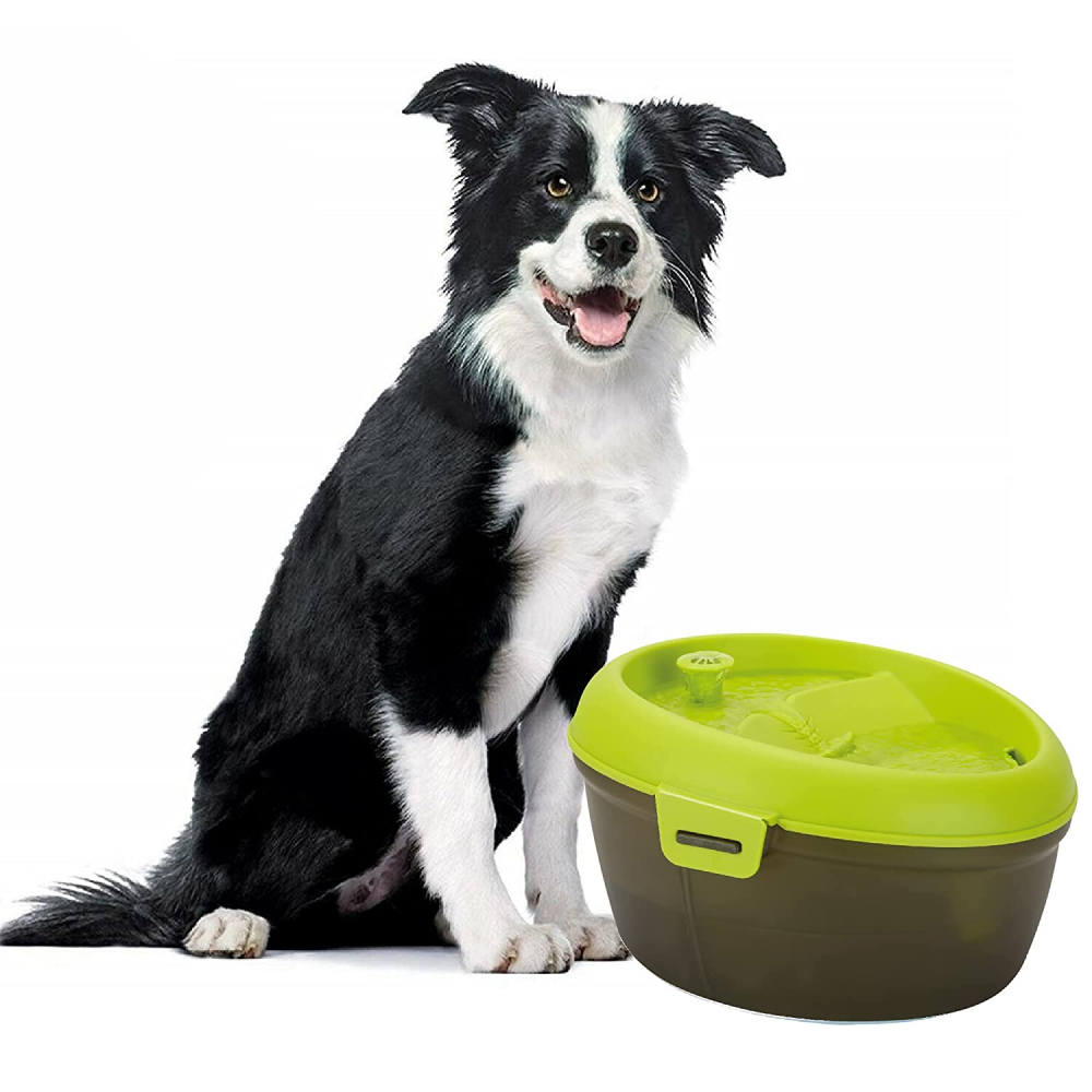 Goofy Tails Water Fountain Automatic Water Dispenser For Dogs (6L)