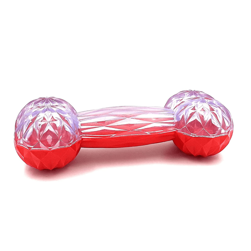 Goofy Tails Rubber Squeaky Bone Toy for Dogs (Dual Tone)