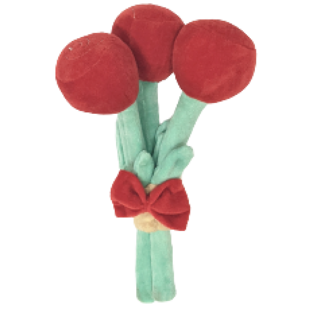 Mutt Of Course Bark Bouquet Toy for Dogs