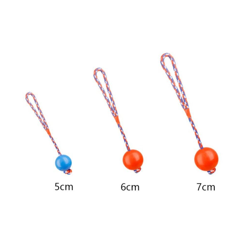 Emily Pets Rubber Ball with Rope Chew Toy for Dogs (Assorted)
