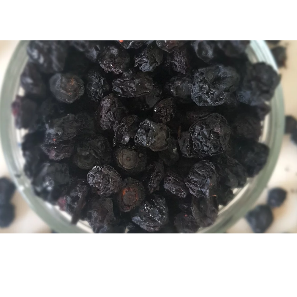 Skylish Blueberry Dri-lite (Dried Fruits) Dog Treats