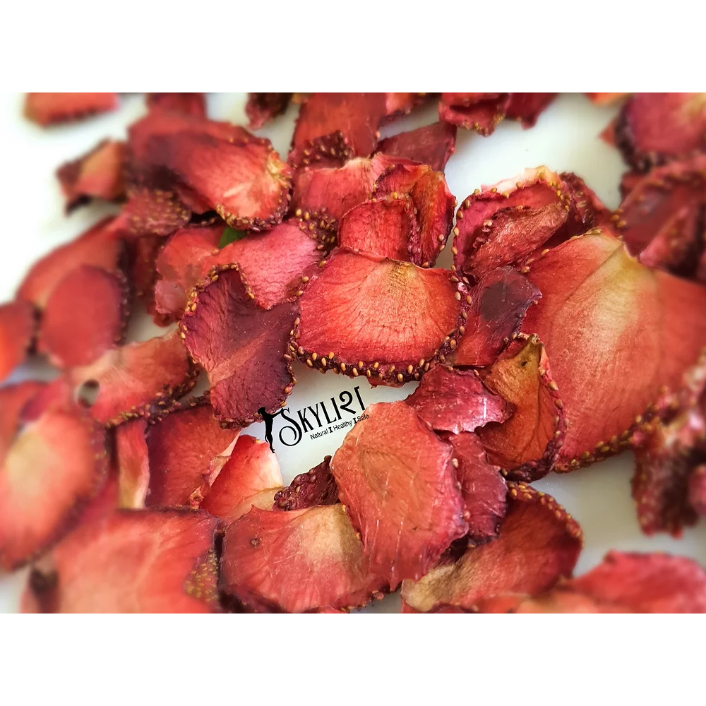 Skylish Strawberry Dri-lite (Dried Fruits) Dog Treats
