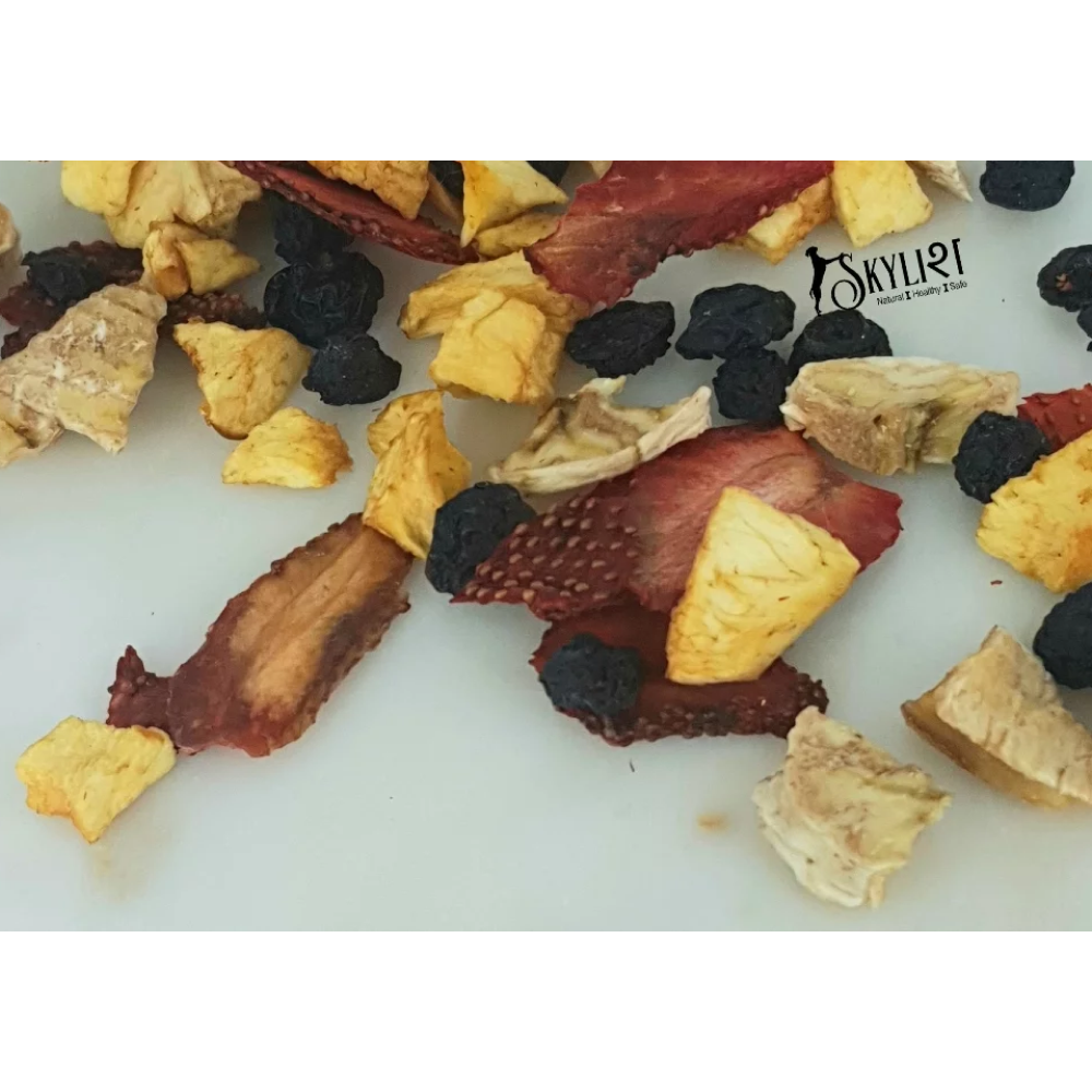 Skylish Dri-lite Mix (Dried Fruits) Dog Treats