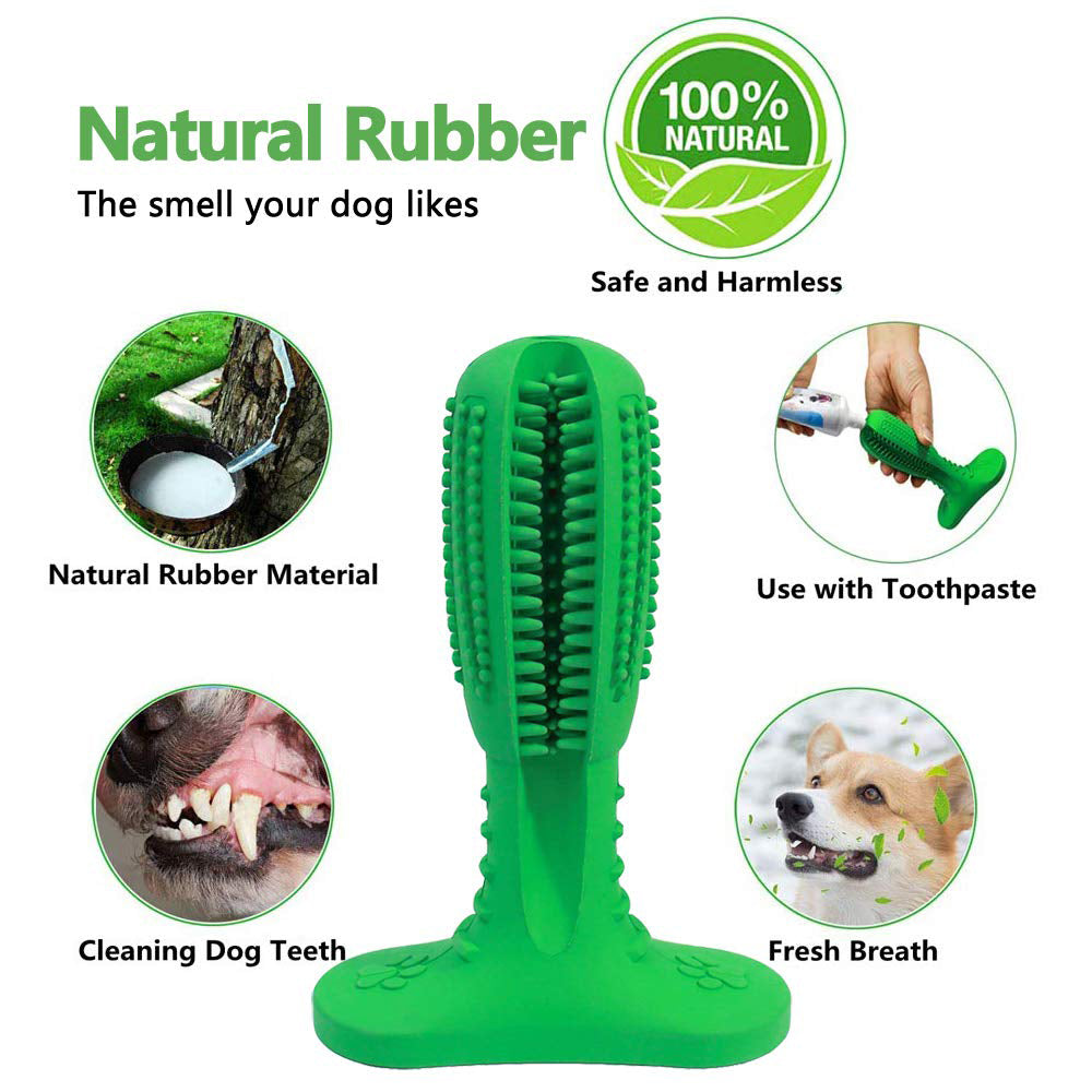 Pawsindia Dental Toy for Dogs