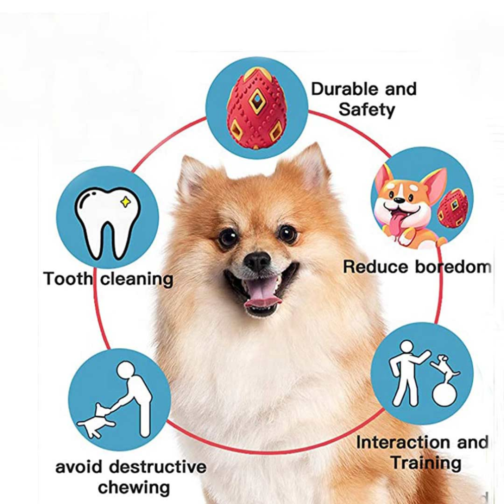 Pawsindia Egg Bell Toy for Dogs