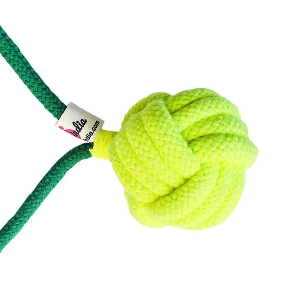 Pawsindia Tug of War Rope Toy for Dogs
