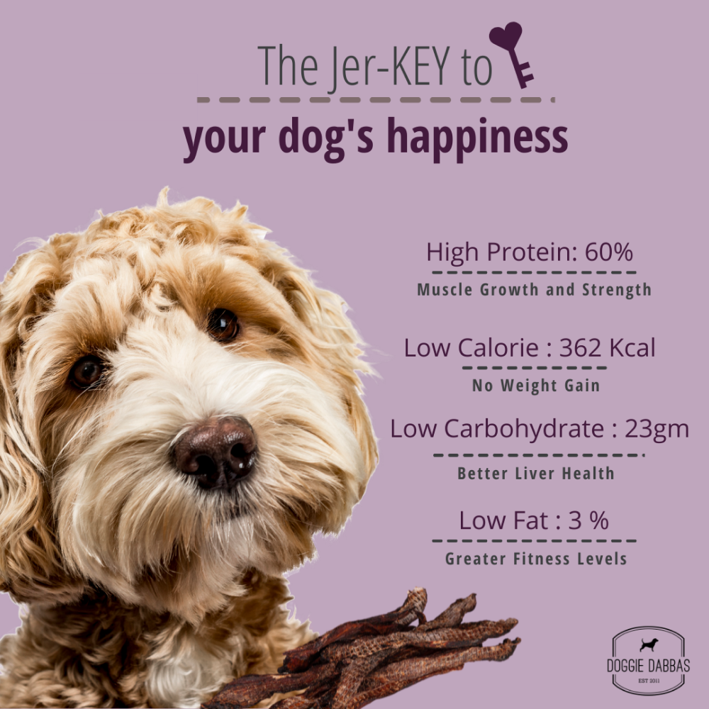 Doggie Dabbas Blueberry Chicken Jerky Dog Treats