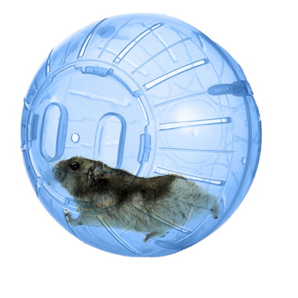 Taiyo Pluss Discovery Toy Ball for Hamsters(Assorted)
