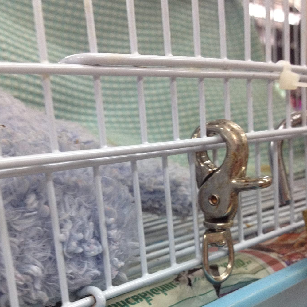 Taiyo Pluss Discovery Steel Cage Lock for Pets