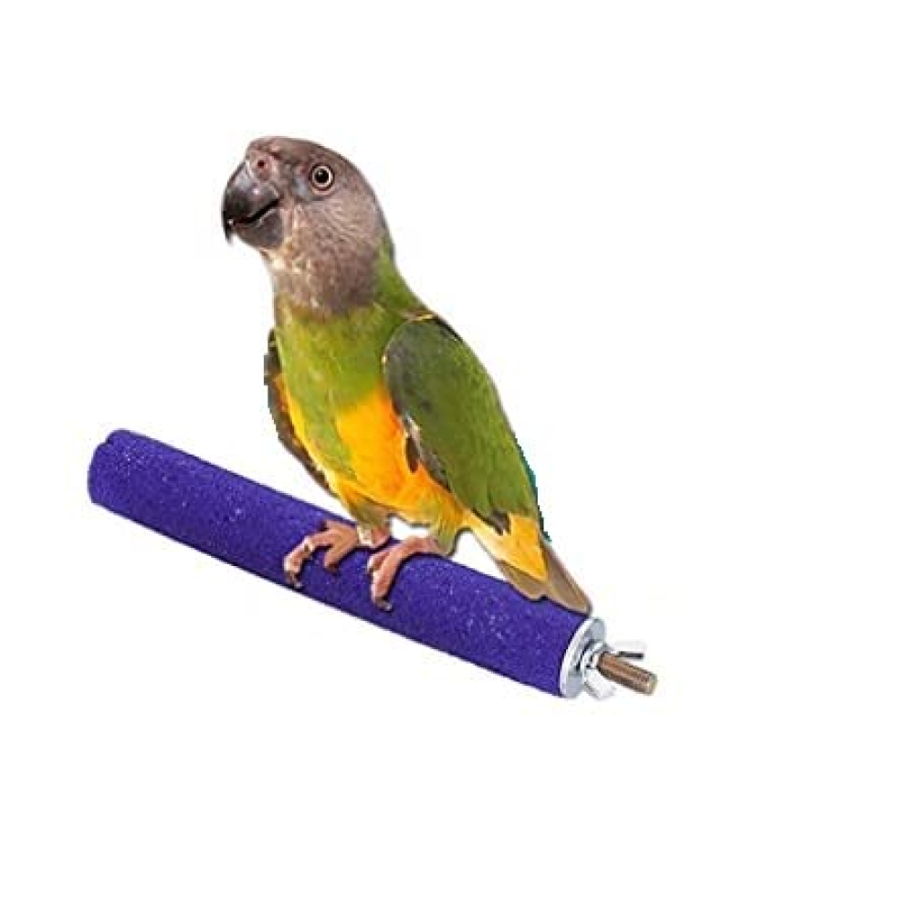 Taiyo Pluss Discovery Grinding Stick for Parrots (Assorted)