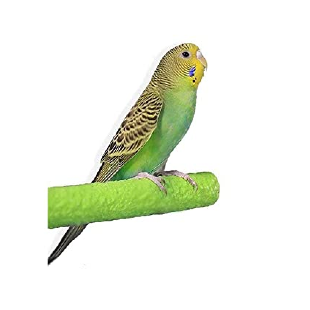 Taiyo Pluss Discovery Grinding Stick for Parrots (Assorted)
