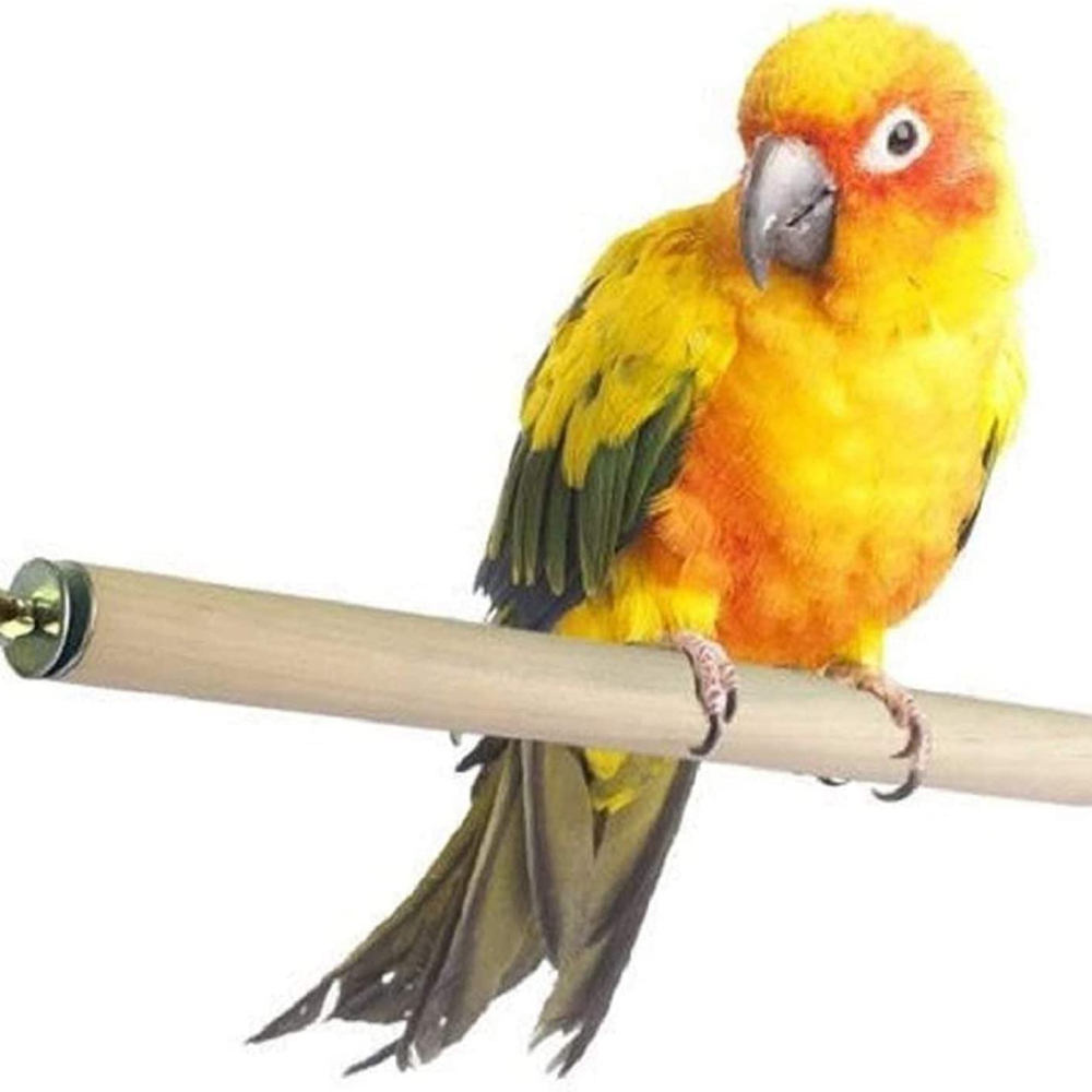 Taiyo Pluss Discovery Wooden Stick for Birds