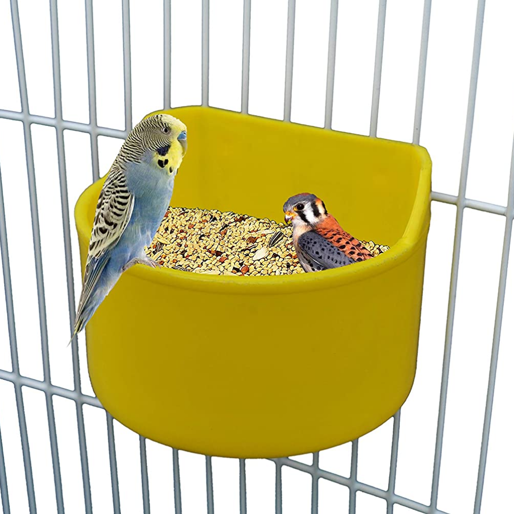Taiyo Pluss Discovery Cup Feeder for Birds