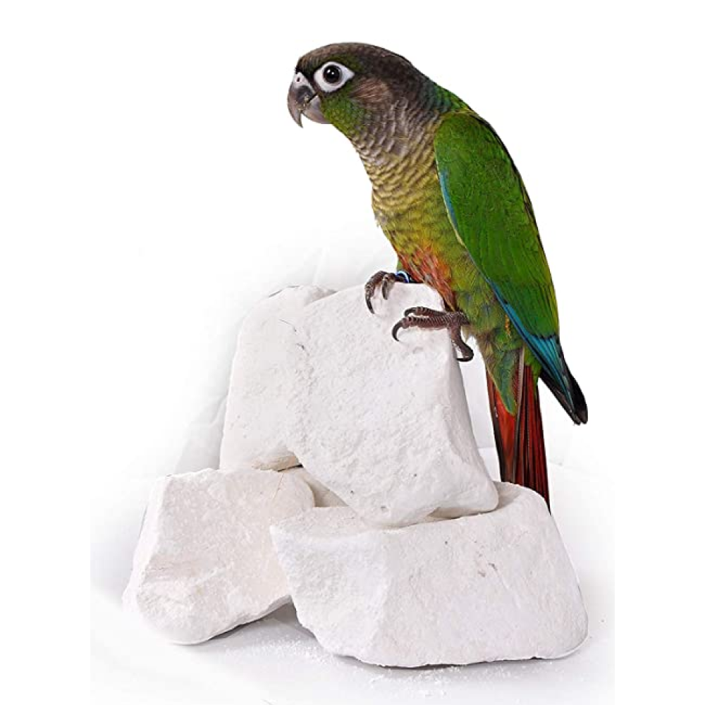 Taiyo Pluss Discovery Fuji Mineral Block for Birds (Assorted)