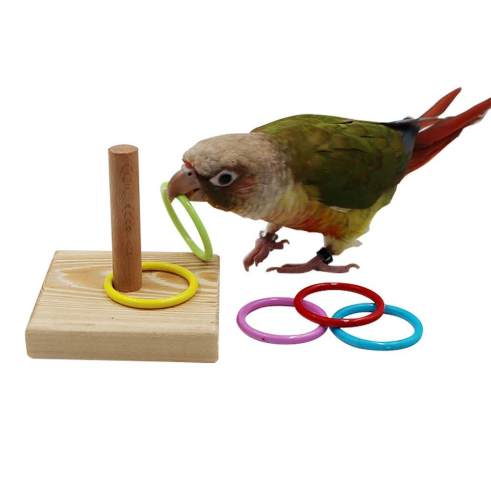 Taiyo Pluss Discovery Post with Rings Toy for Birds (Assorted)