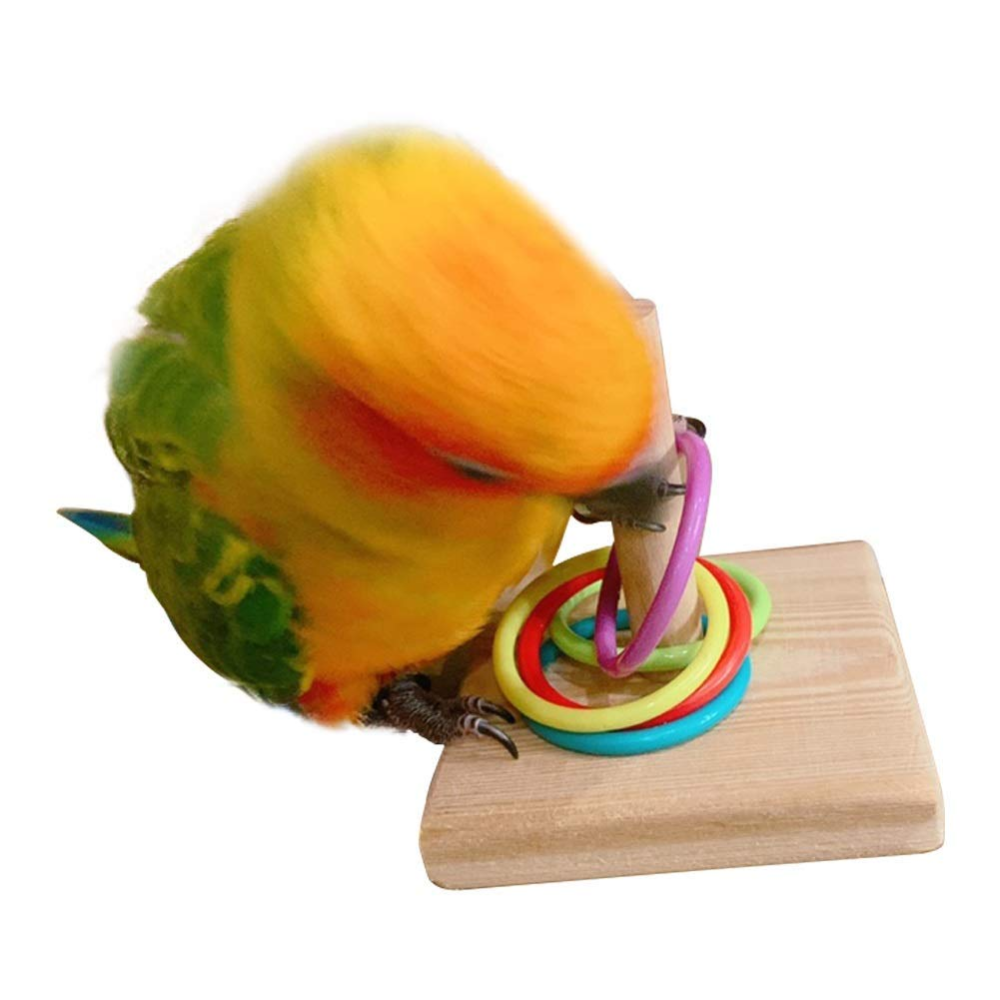 Taiyo Pluss Discovery Post with Rings Toy for Birds (Assorted)