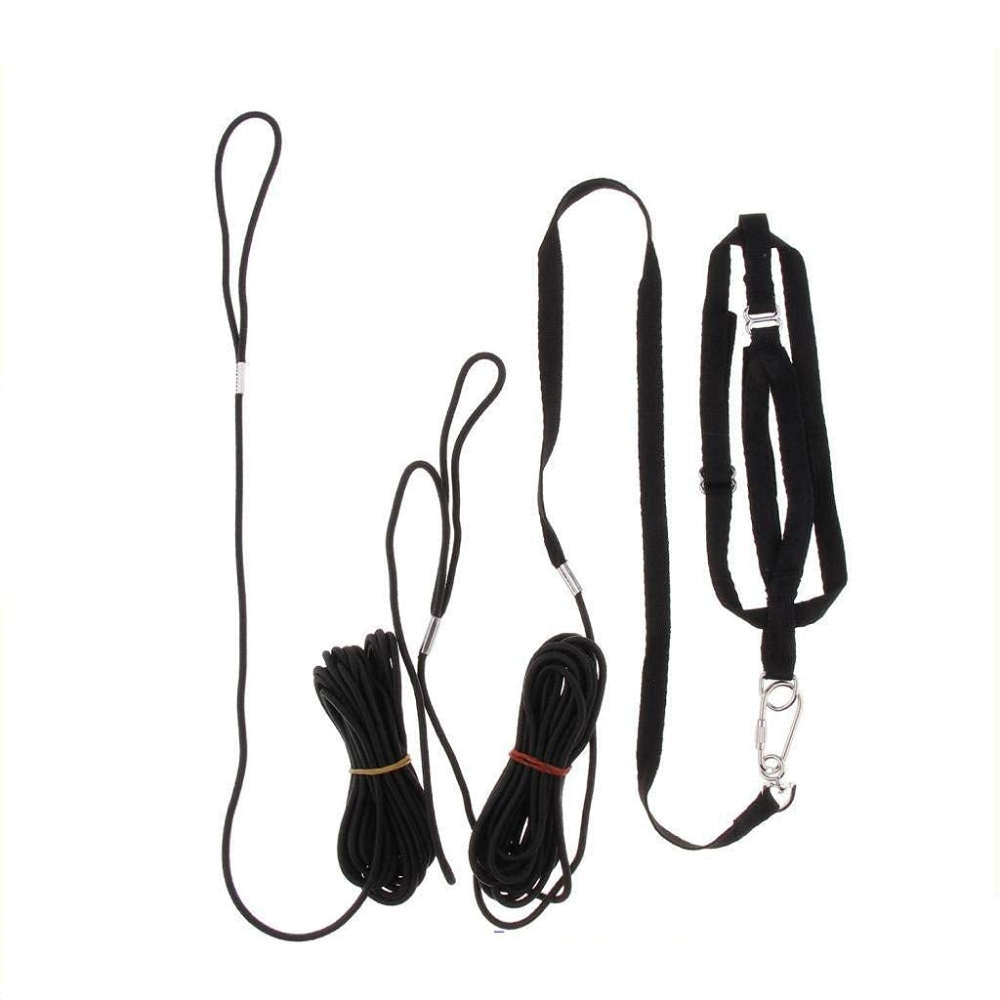 Taiyo Pluss Discovery Adjustable Leash for Birds