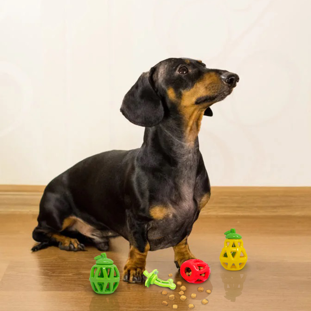 Fofos Fruity Bites Treat Dispensing Apple for Dogs