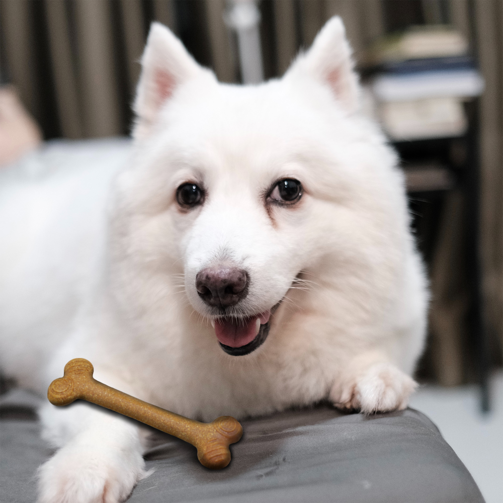 Fofos Woodplay Bone Twins Toy for Dogs