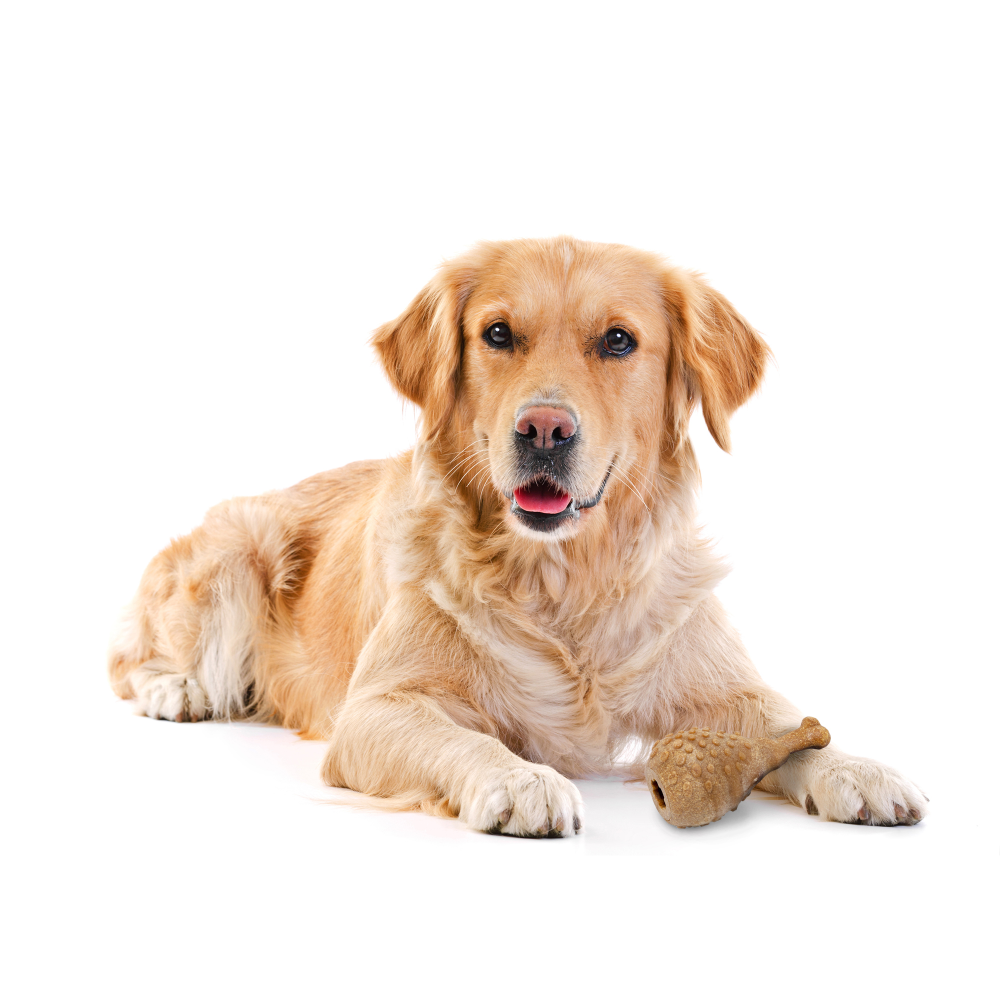 Fofos Woodplay Drumstick Toy for Dogs