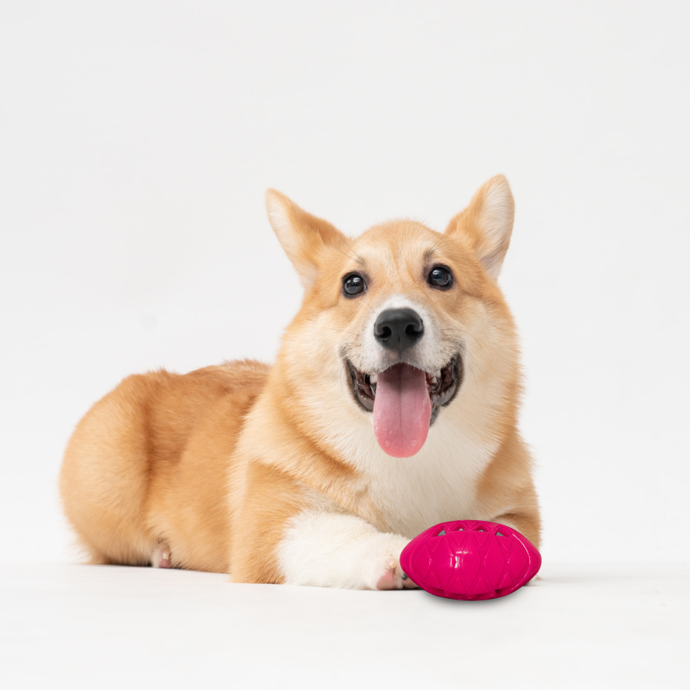 Fofos Crunch Football Toy for Dogs (Assorted)