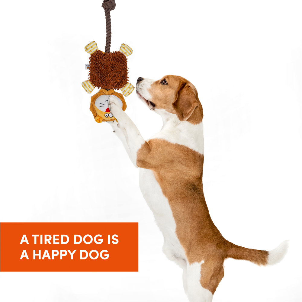 Fofos Puppy Rope Lion Toy for Dogs