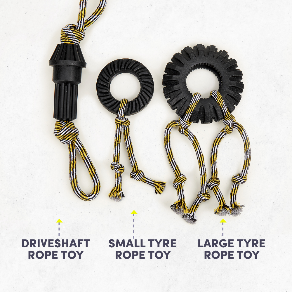 Fofos Tyre Rope Toy for Dogs (Small)
