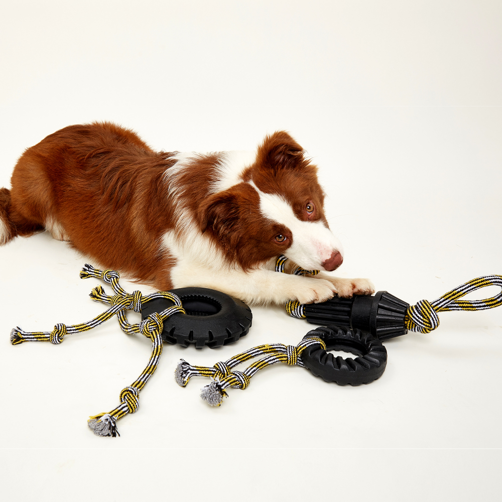Fofos Tyre Rope Toy for Dogs (Small)