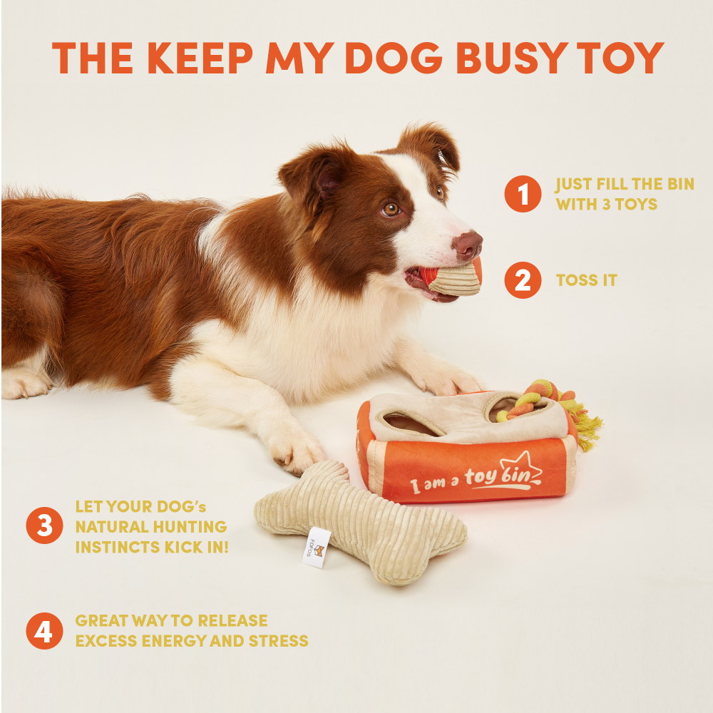 Fofos Hide&Seek Plush 3 in 1 Rope Toy for Dogs