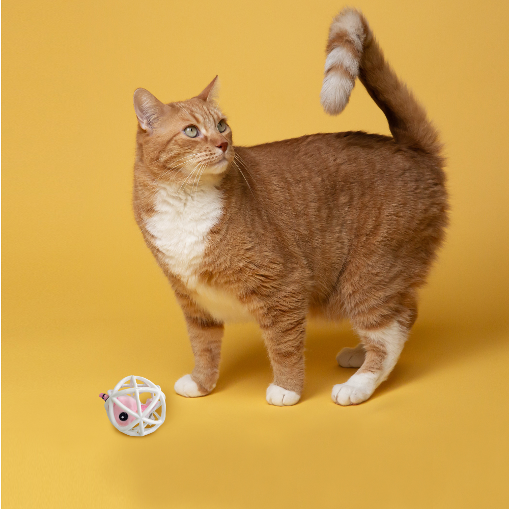 Fofos Unicorn in a Cage Toy for Cats