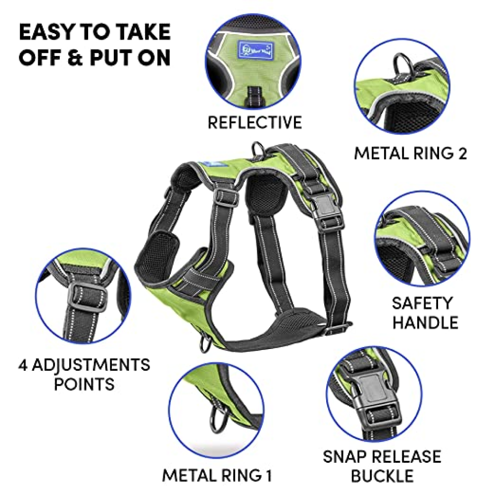 Whoof Whoof Double Padded Harness for Dogs (Green)