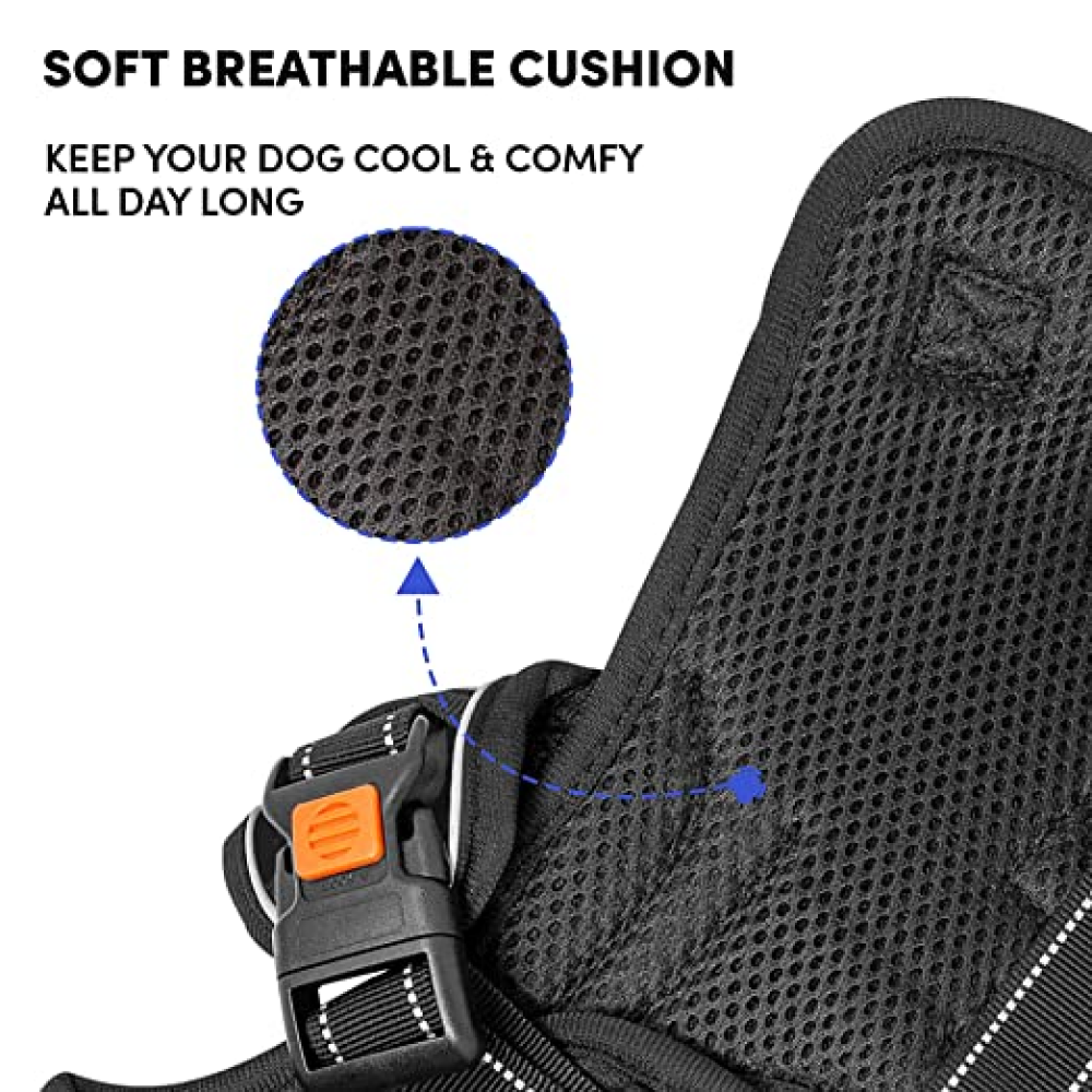 Whoof Whoof Full Body Three Layer Belt Harness for Dogs (Blue)