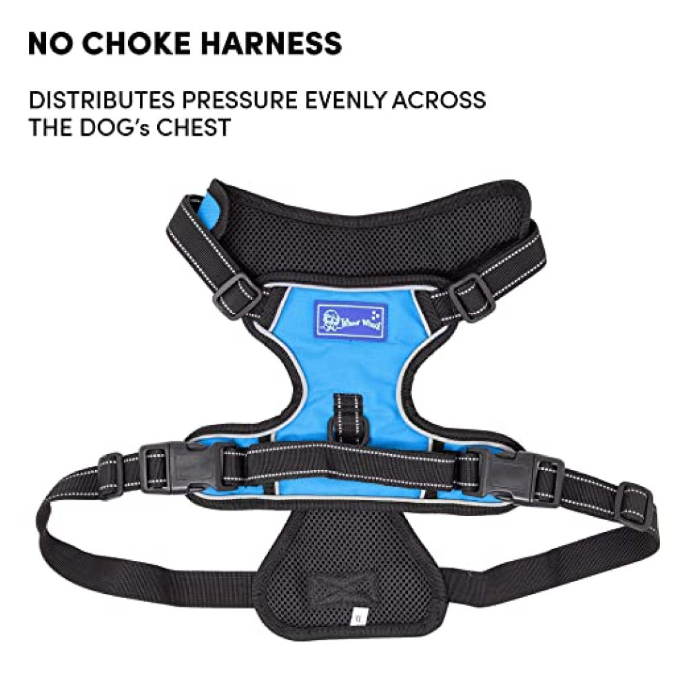 Whoof Whoof Double Padded Harness for Dogs (Blue)