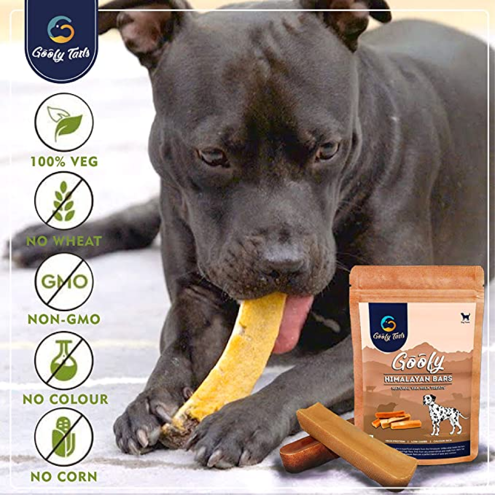 Goofy Tails Himalayan Chew Bars Dog Treats