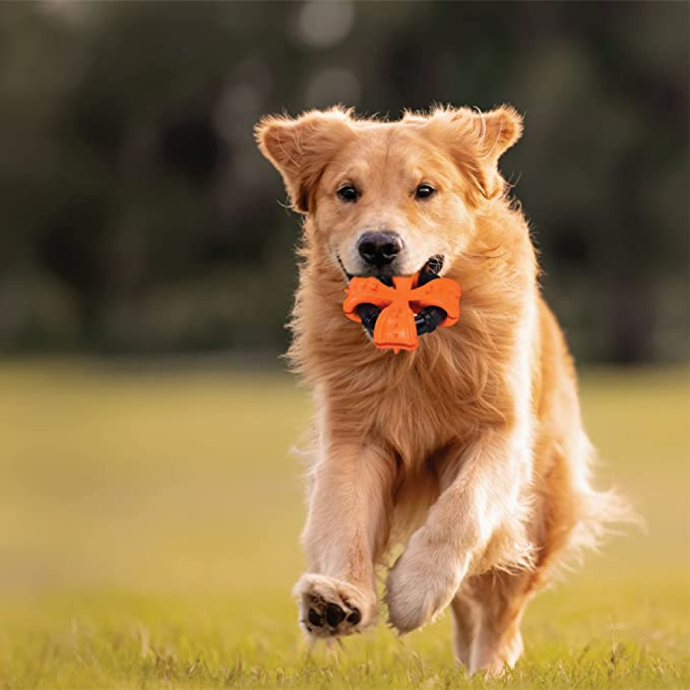 Goofy Tails X Tyre Rubber Toy for Dogs