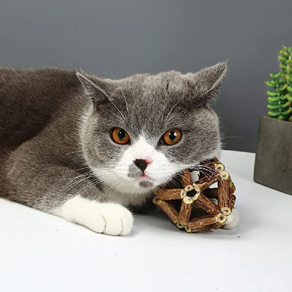 Goofy Tails Silvervine Ball Catnip Toy for Cats
