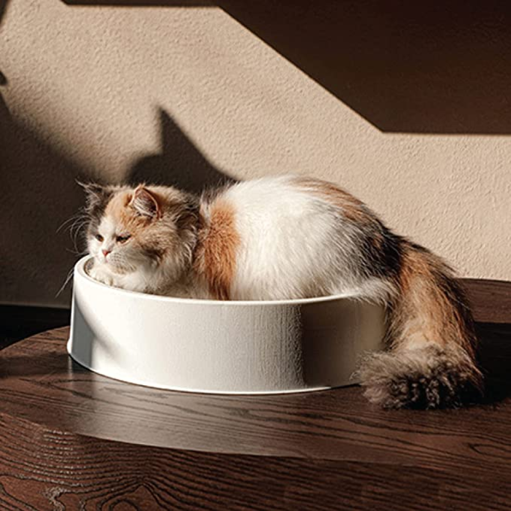 Goofy Tails Round Shaped Scratcher for Cats