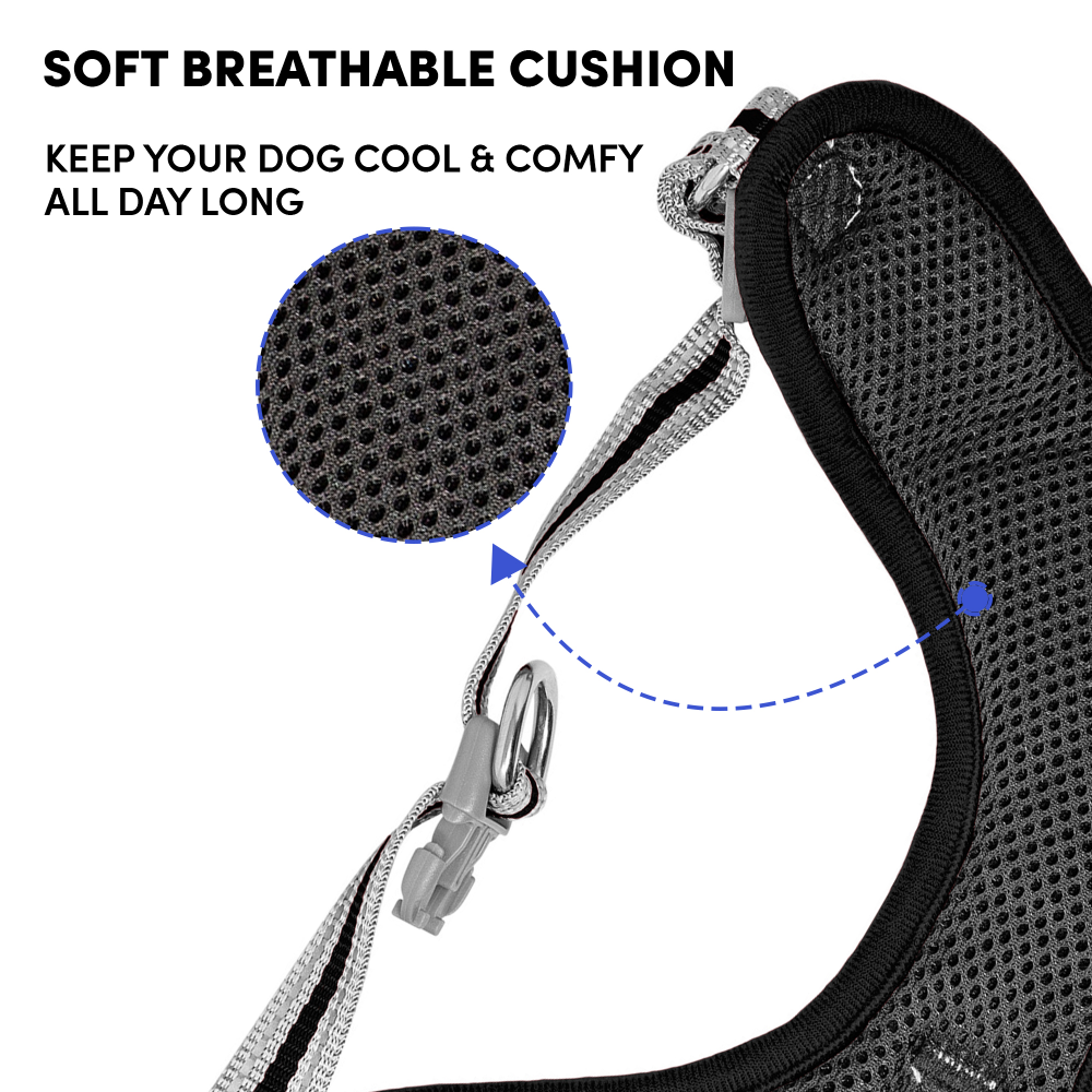 Whoof Whoof Meash Harness + Leash for Dogs (Black)