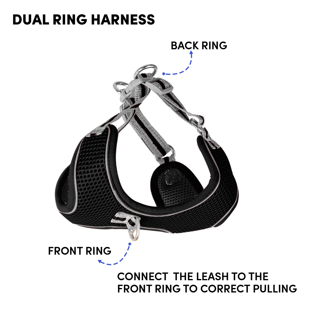 Whoof Whoof Meash Harness + Leash for Dogs (Black)