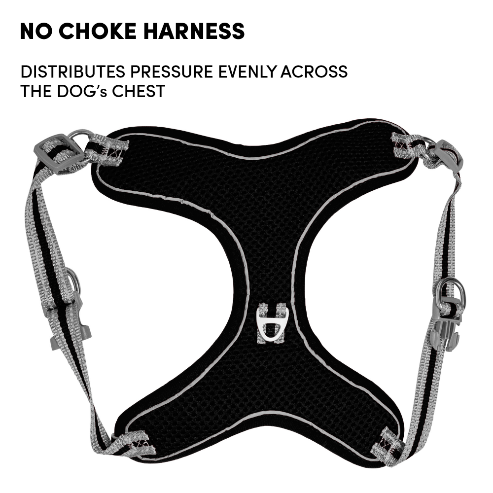 Whoof Whoof Meash Harness + Leash for Dogs (Black)