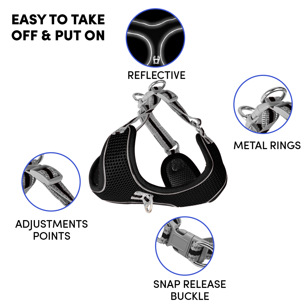 Whoof Whoof Meash Harness + Leash for Dogs (Black)