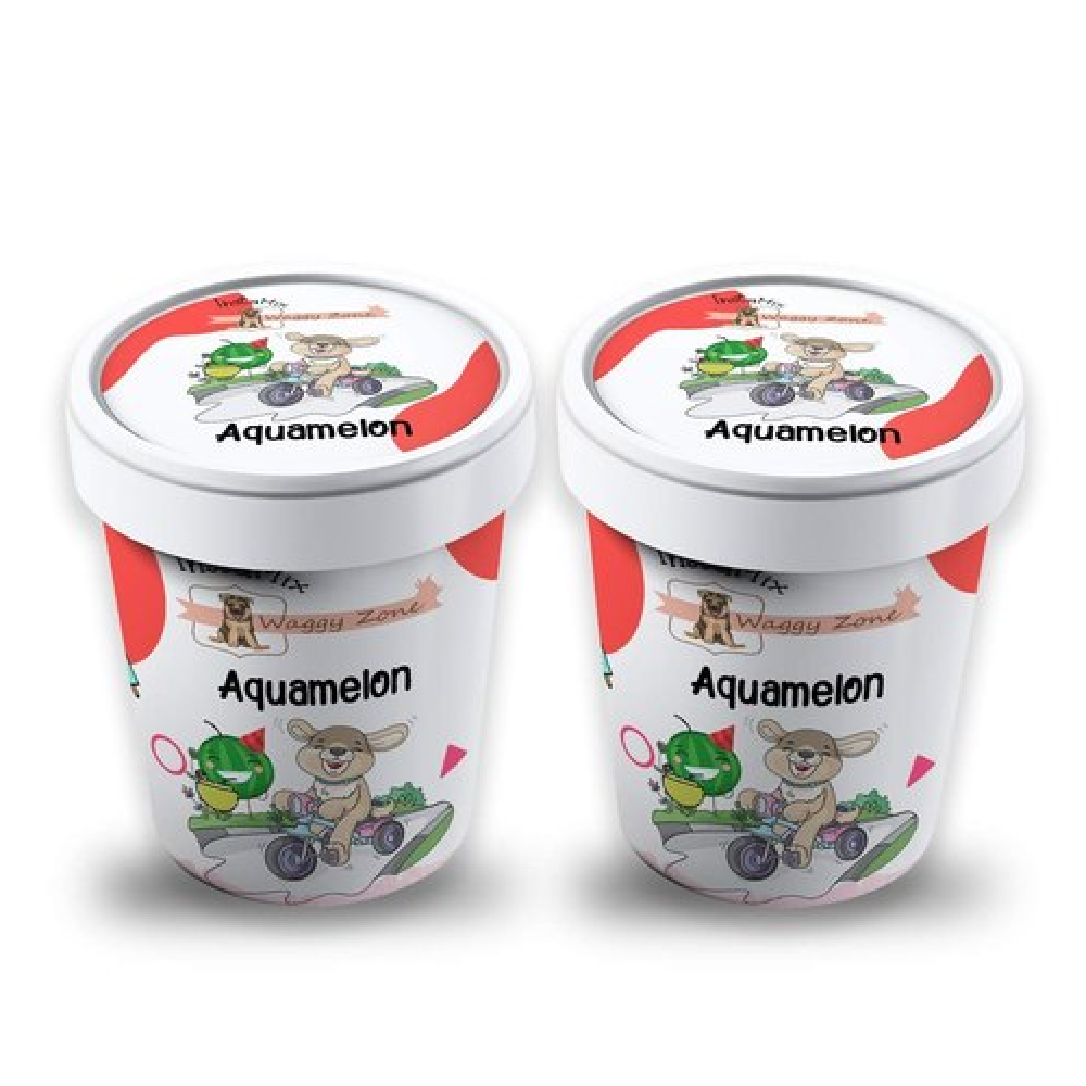 Waggy Zone Watermelon Aquamelon Ice Cream for Dogs (Pack of 2)