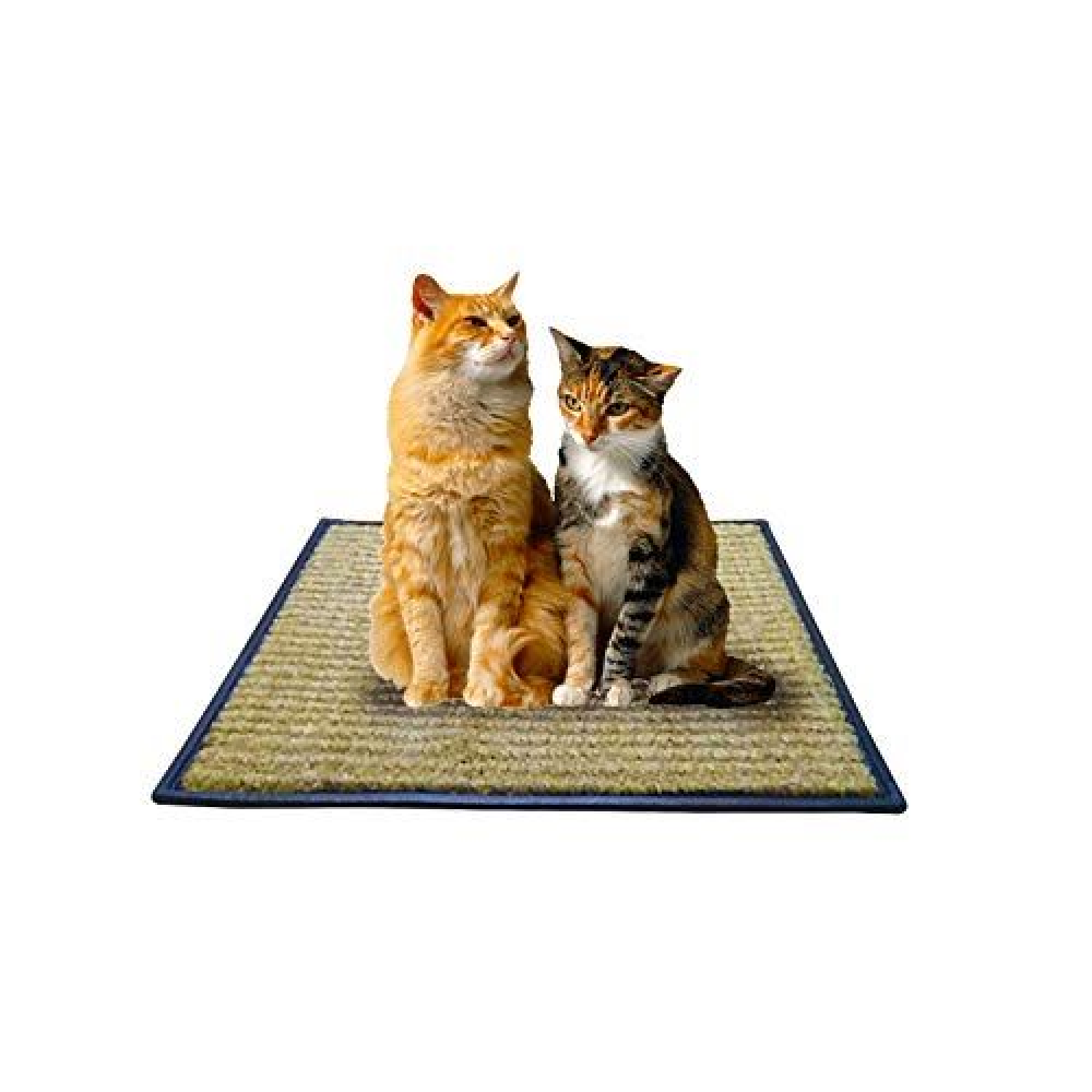 Glenand Scratching Mat Toy for Cats